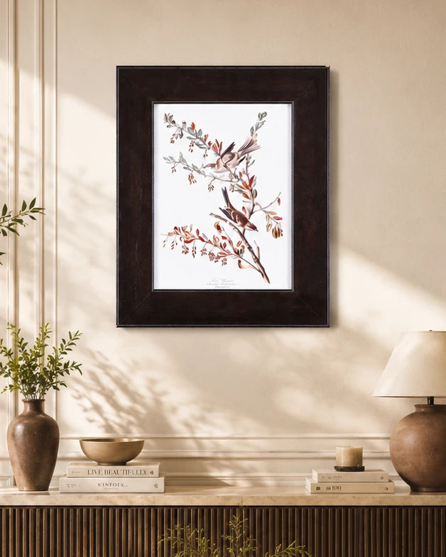 Tree Sparrow Bird