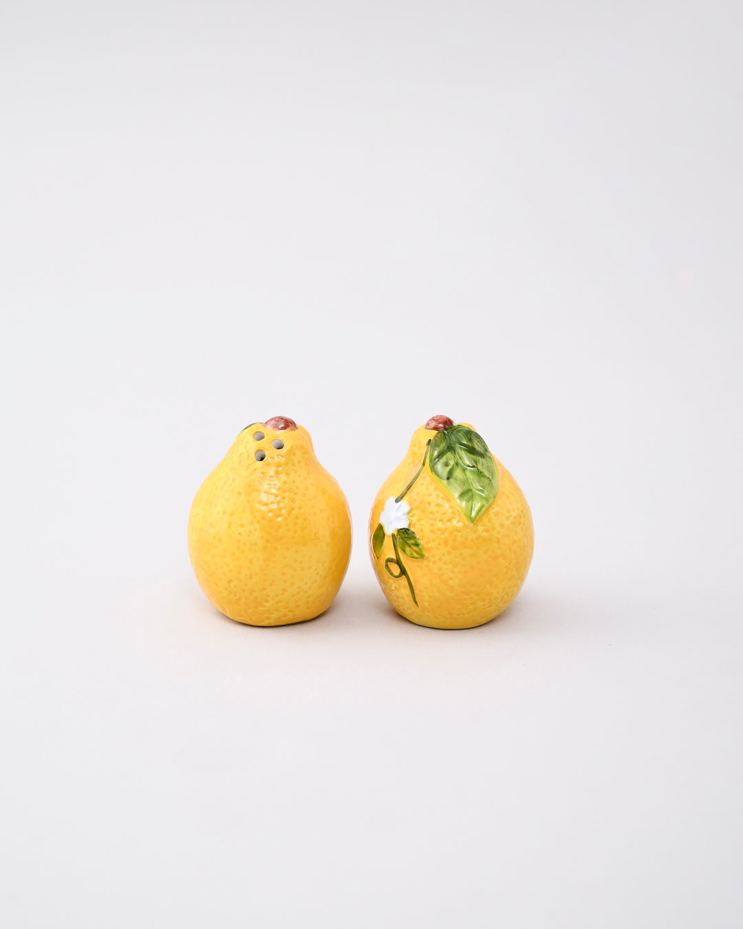Lemon Salt & Pepper Shaker Set 