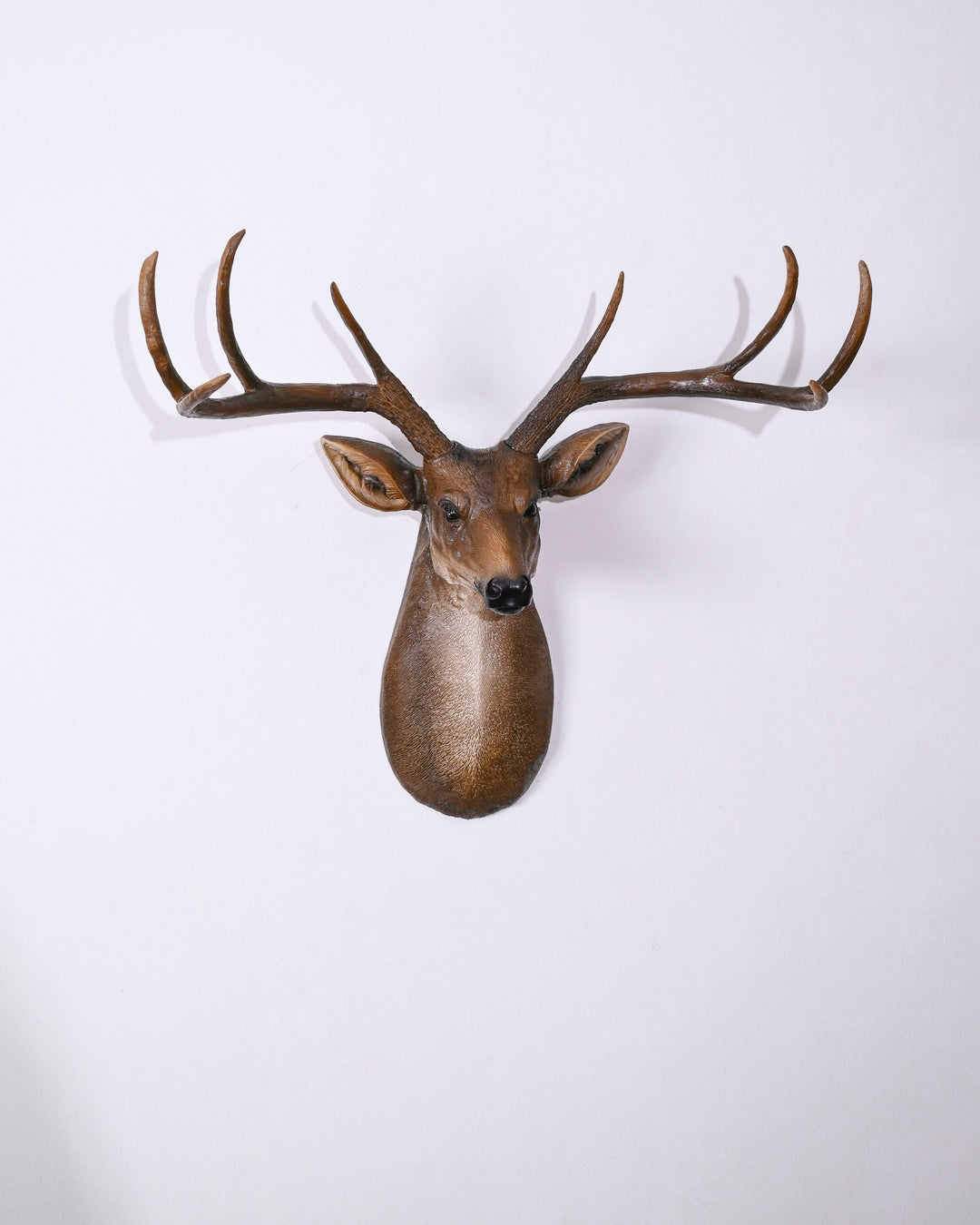 Majestic Deer Head Wall Mount 