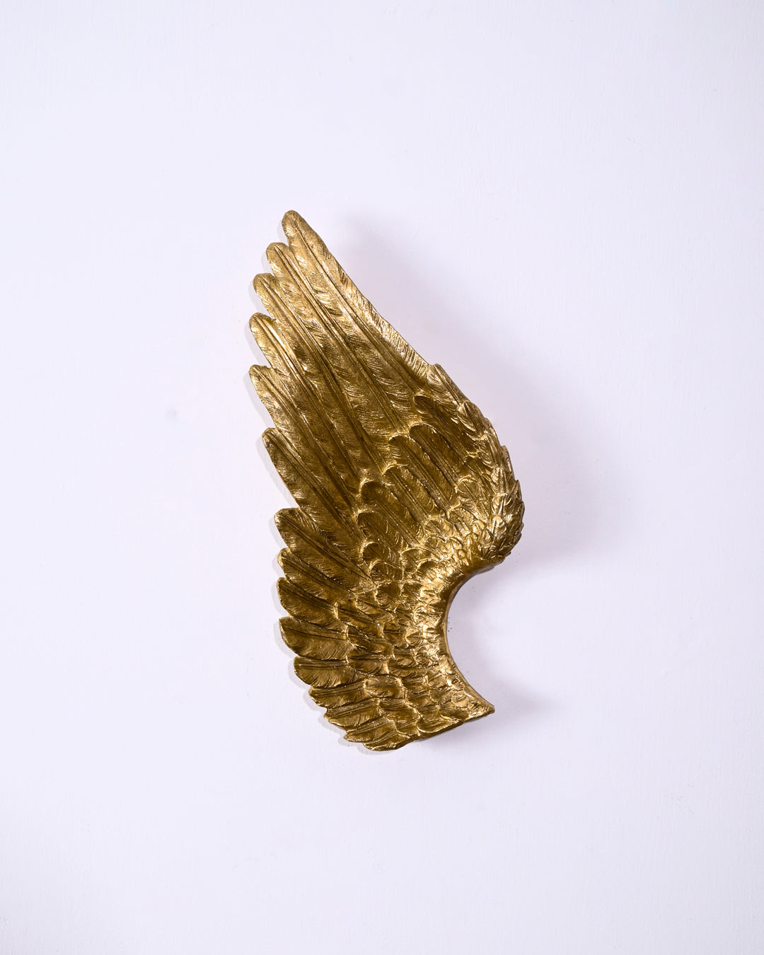Heavenly Angel Wings Wall Accent 