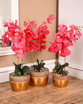 Victorian Scroll Rim Planter - Set Of 3 