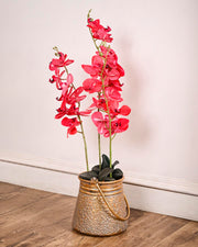 Rustic Hanging Bucket Planter - Small