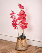 Rustic Hanging Bucket Planter - Small 