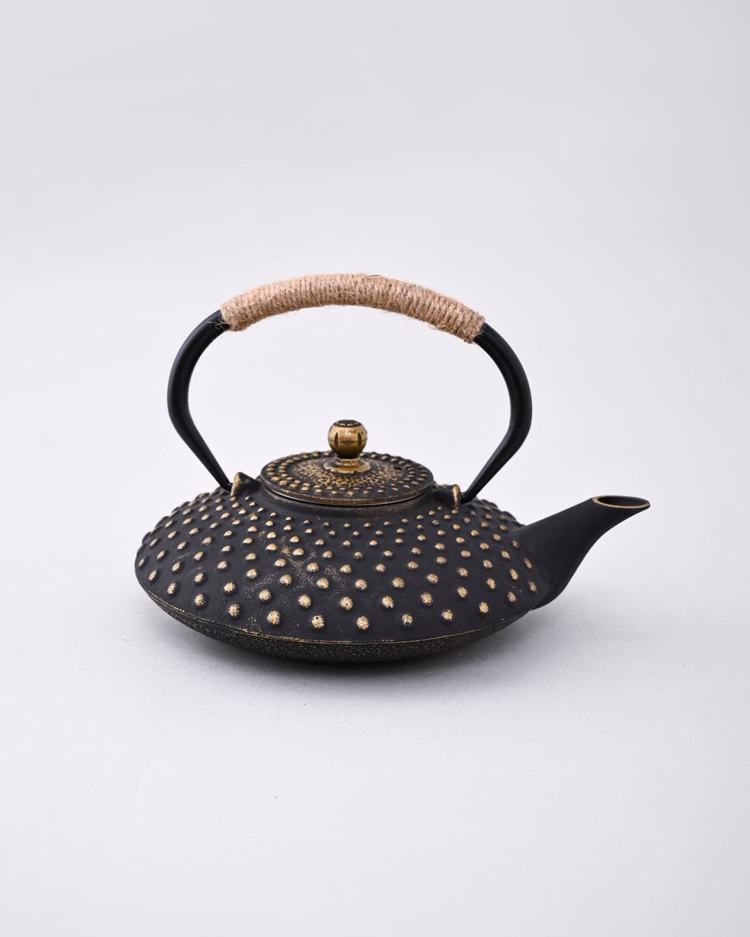 Japanese Cast Iron Teapot 