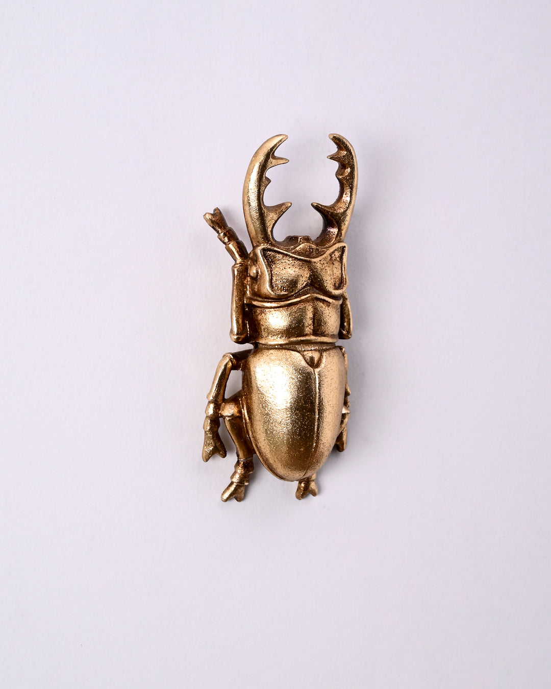 Golden Beetle Decorative Wall Accent 