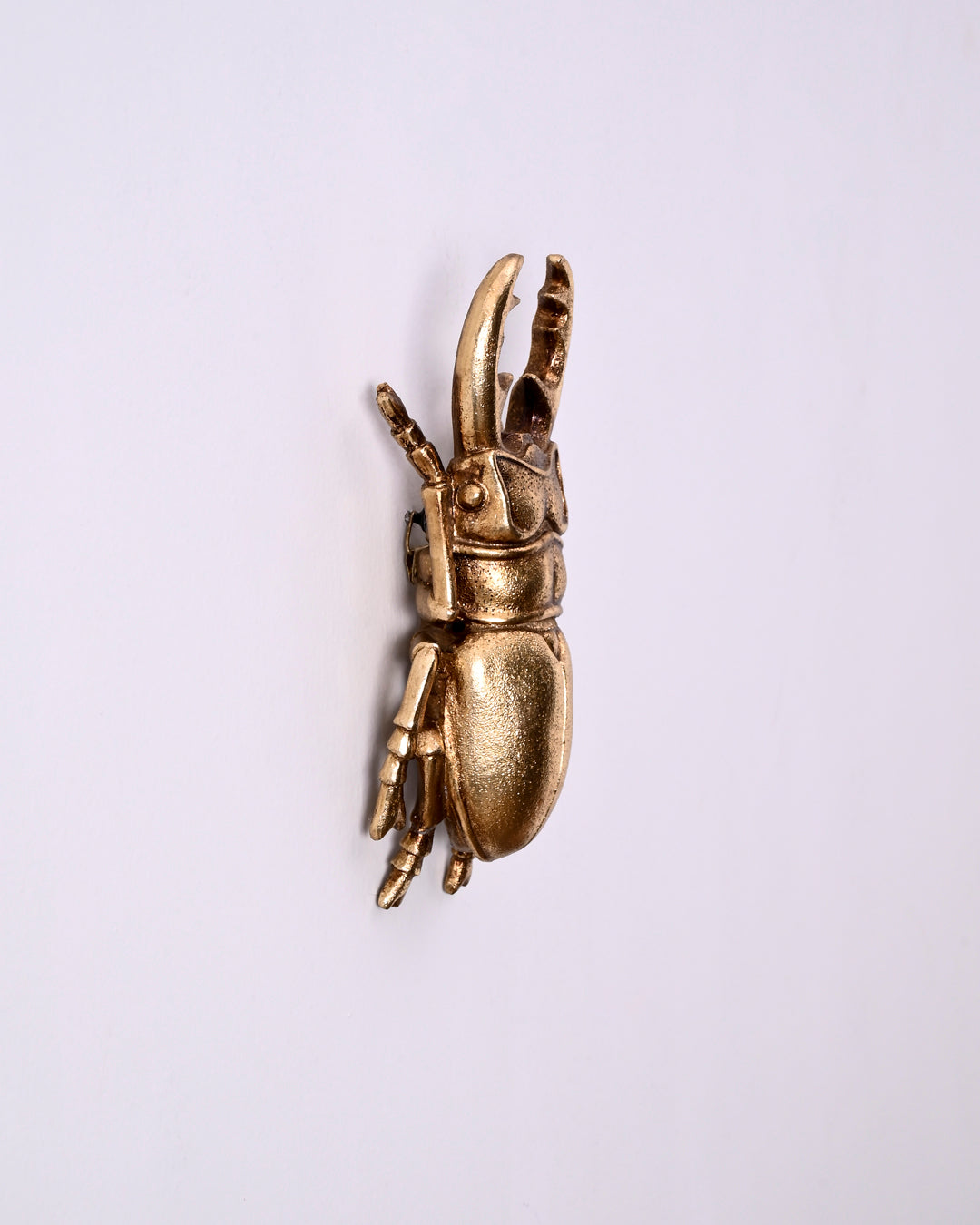 Golden Beetle Decorative Wall Accent 