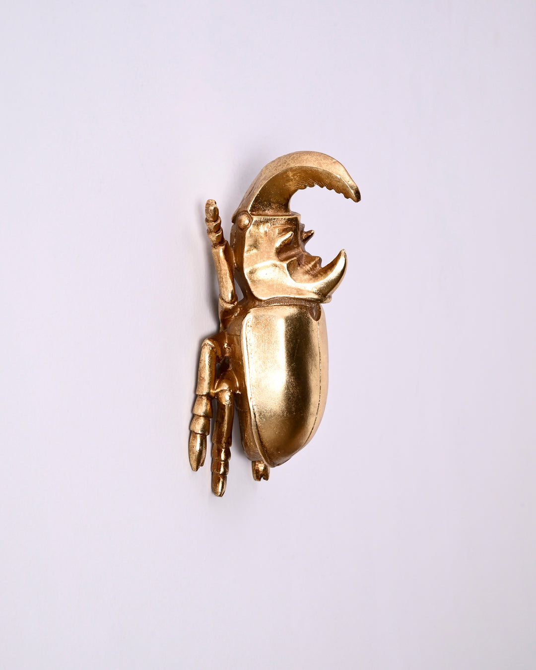 Regal Scarab Decorative Wall Accent 