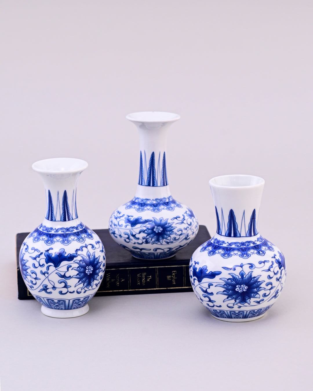 Blue & White Lotus Gourd Neck Vase 
