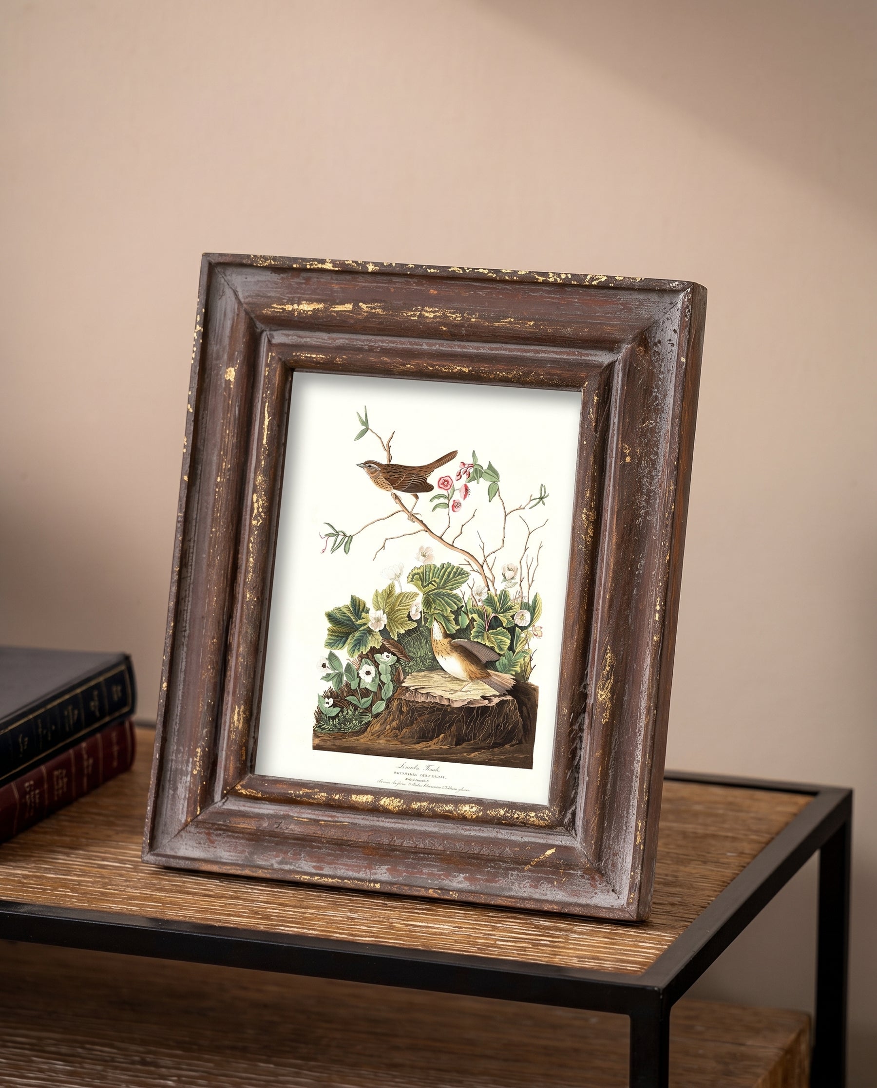 Rustic Bronze Border Photo Frame 