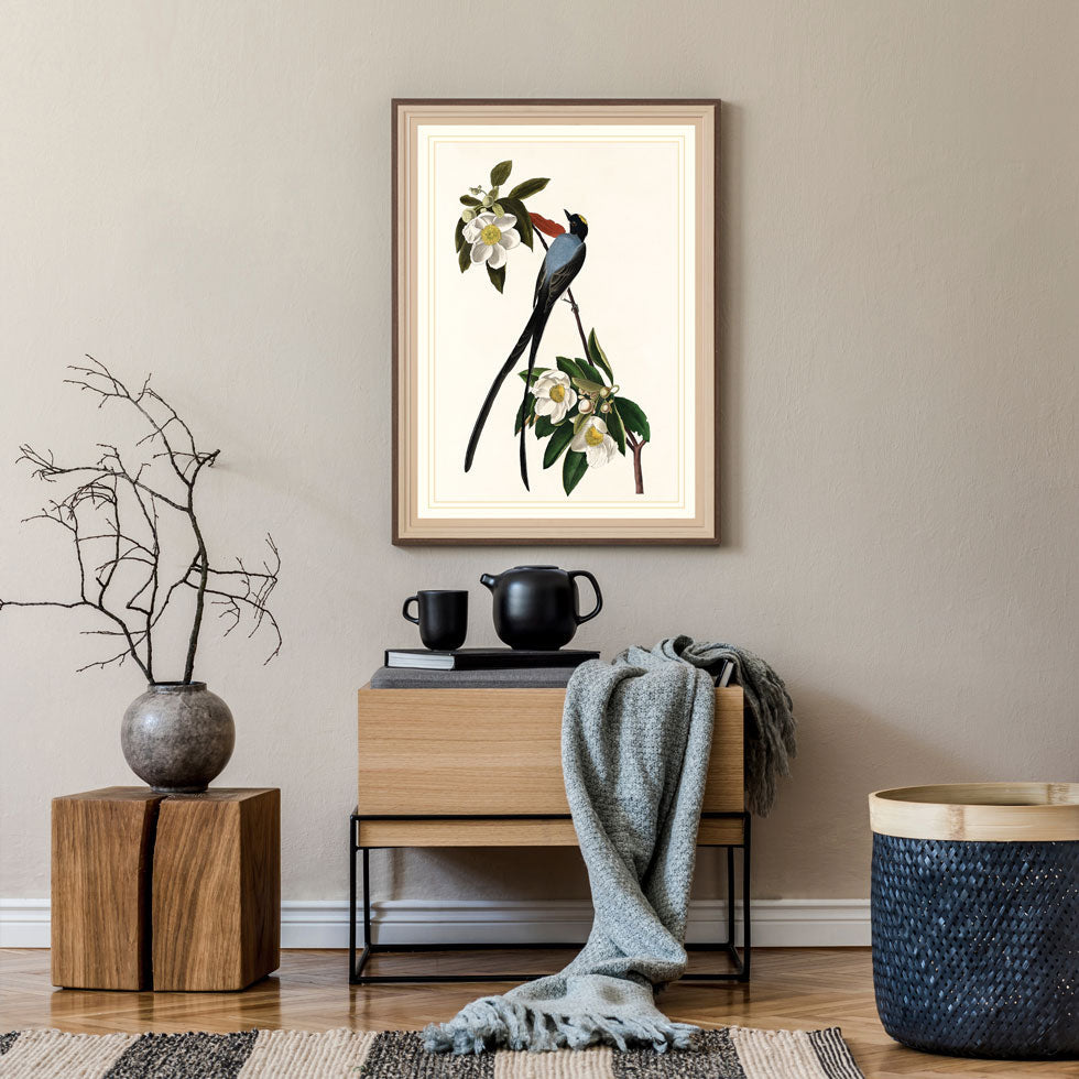 Fork Tailed Flycatcher Bird Print 