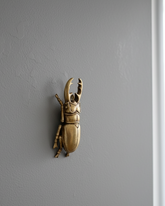 Golden Beetle Decorative Wall Accent 