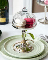 Sienne Plate and Dome - Large 