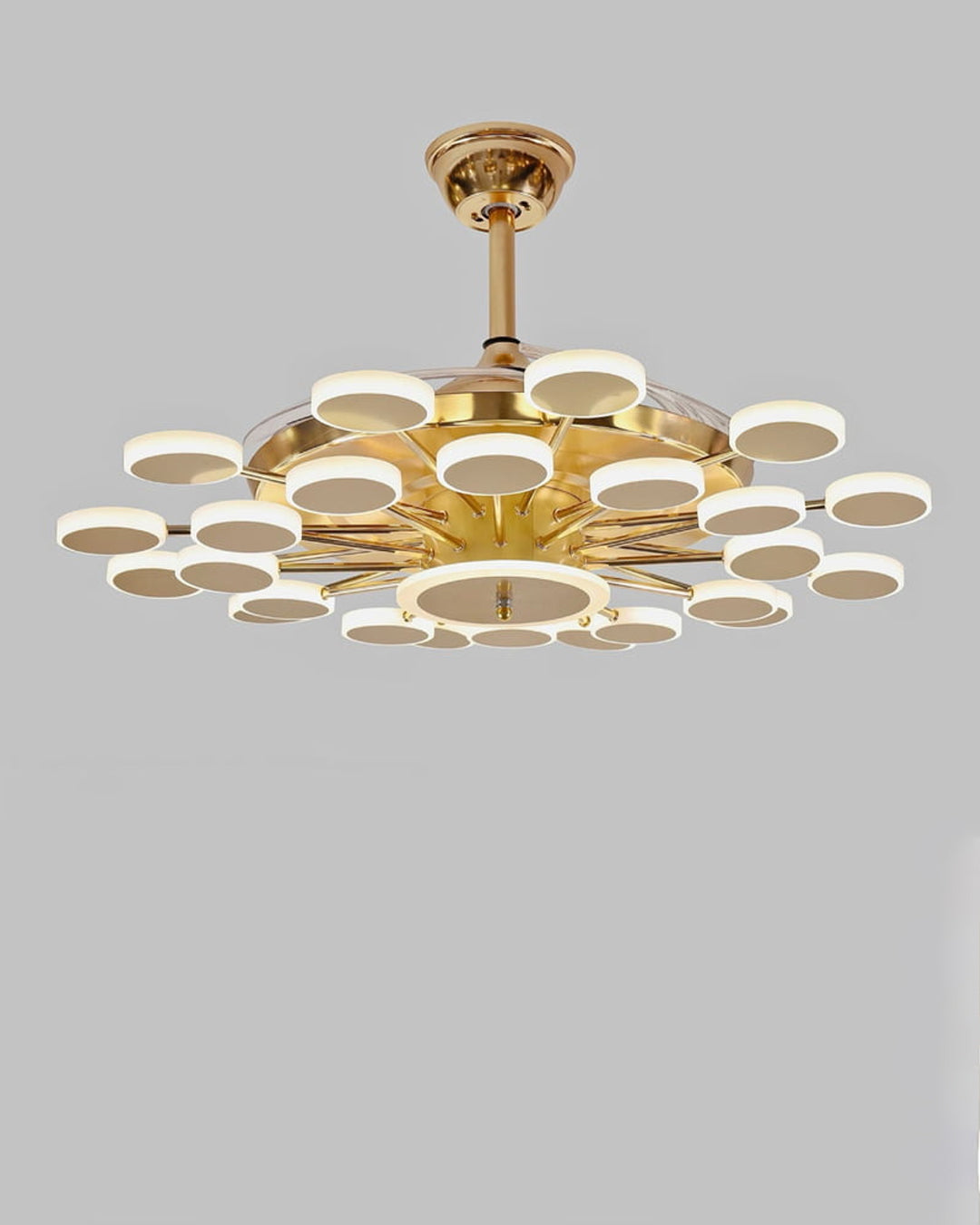 Decorative ceiling fan light with sleek modern finish 