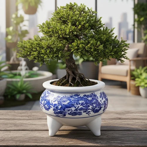 The Decor Kart