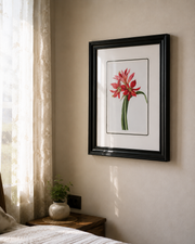 Lily of the Palace Print "24x30" Inches
