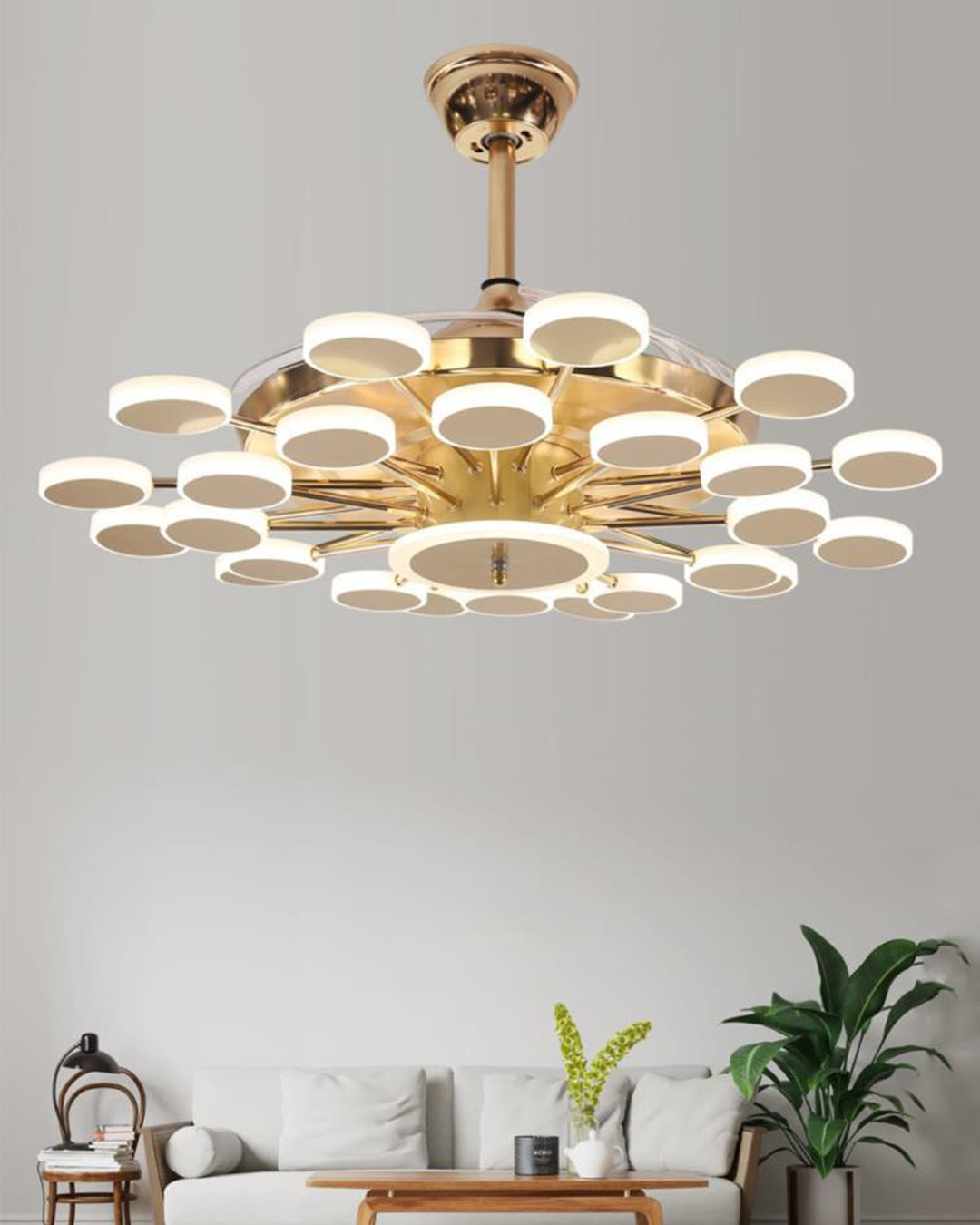 Elegant fan light for contemporary home décor 