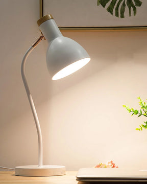 Gooseneck Desk Lamp - White - The Decor Kart 