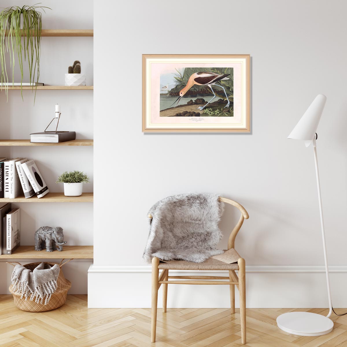 American Avocet Bird Print 