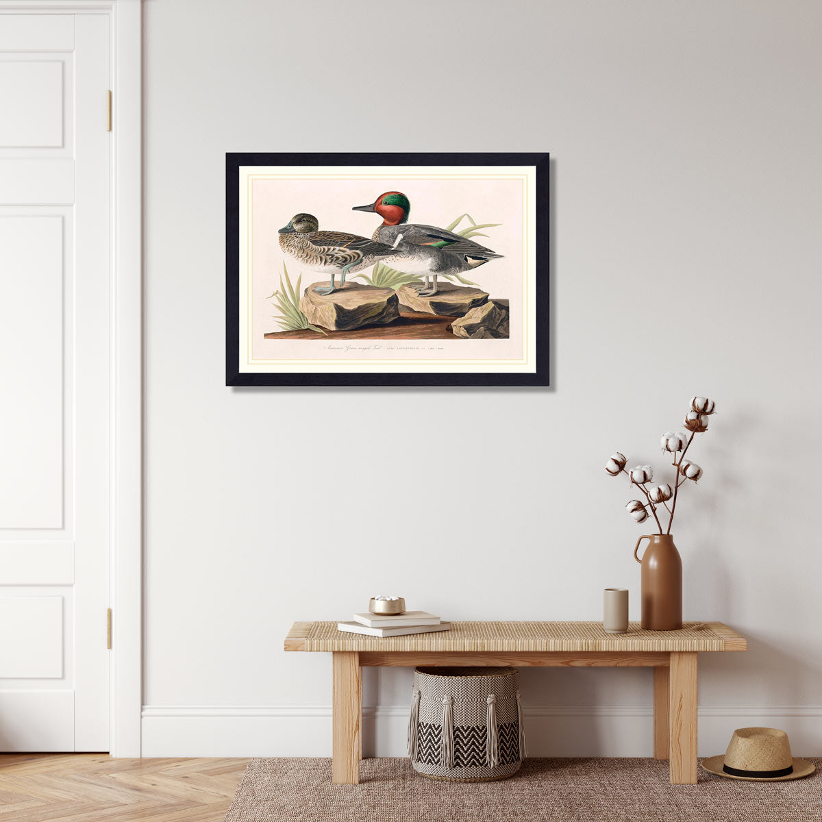 American Green Winged Teal Bird Print 
