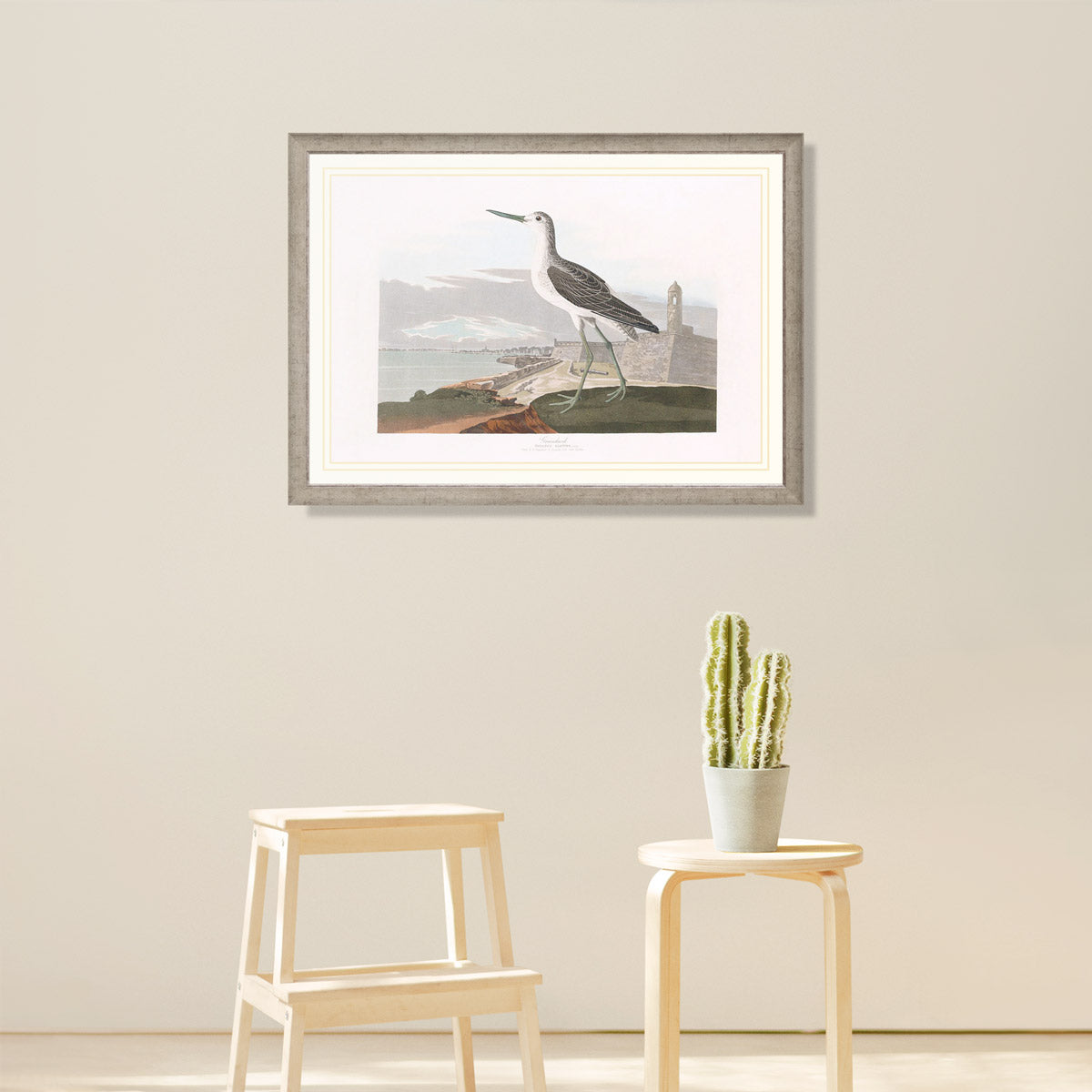 Great Esquimaux Curlew Bird Print 