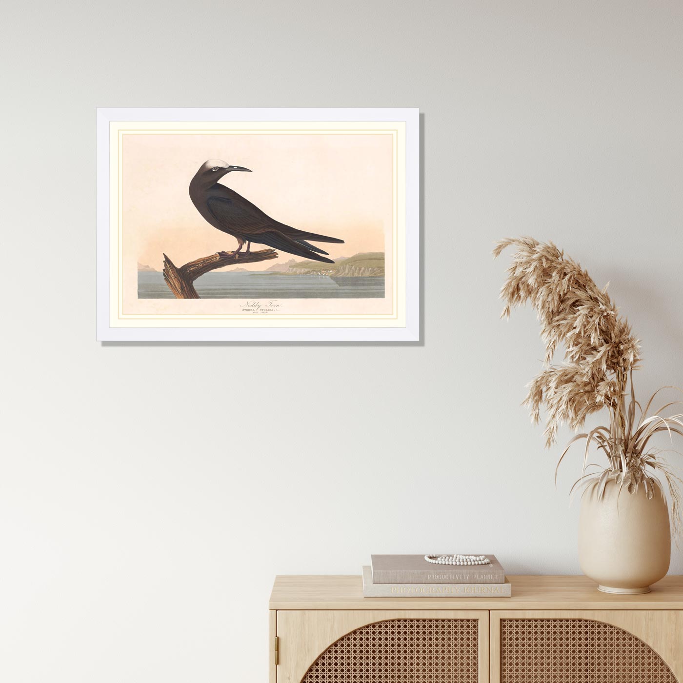 Noddy Tern Bird Print 