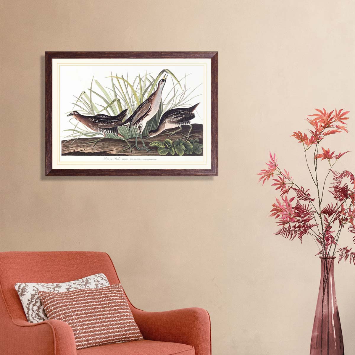 Sora Or Rail Bird Print 