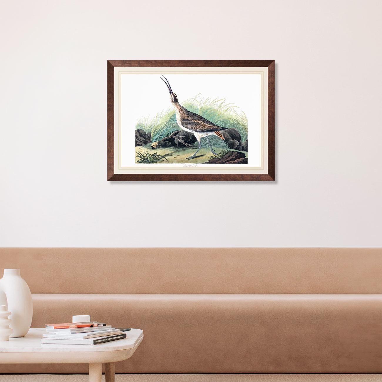 Hudsonian Curlew Bird Print 