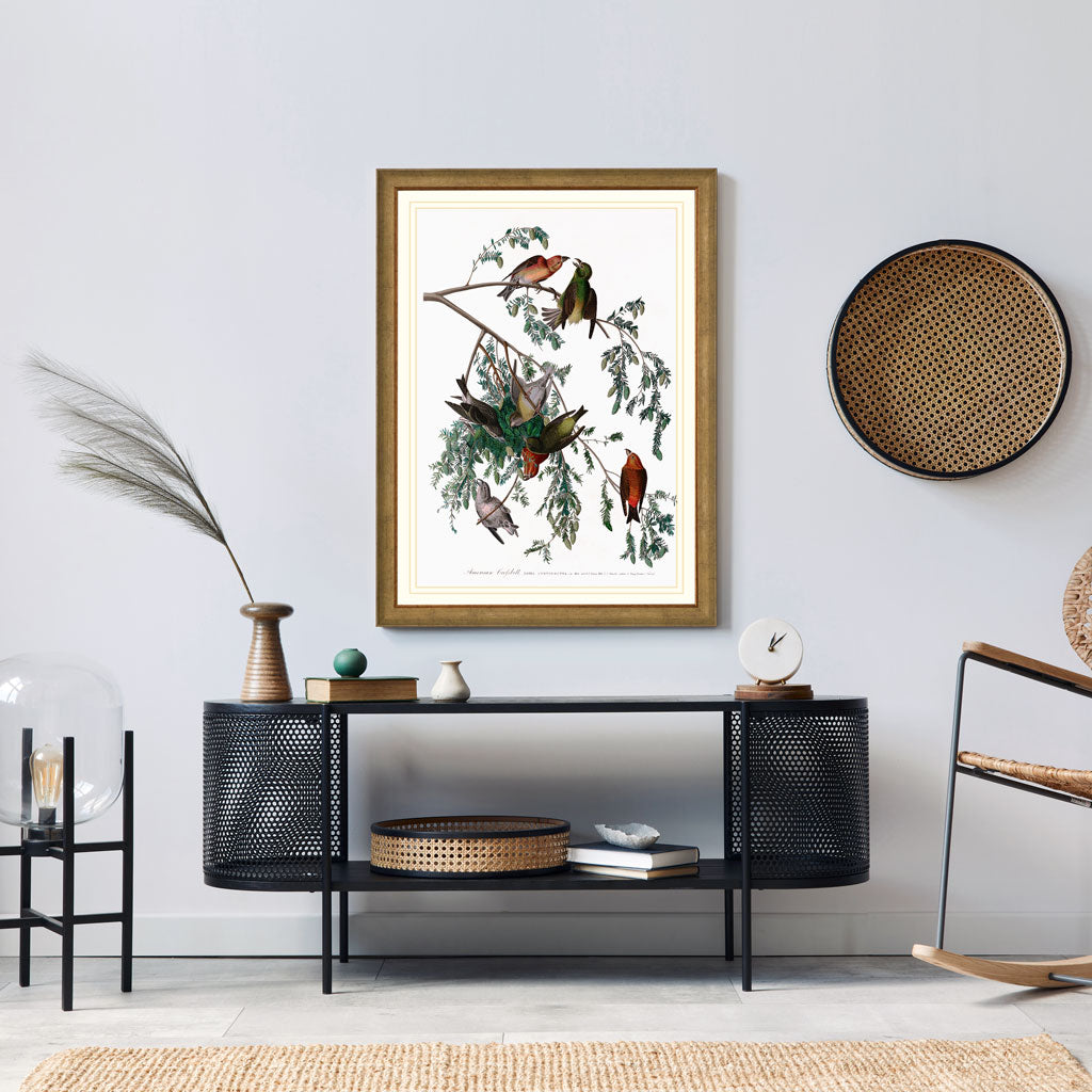 American Crossbill Bird Print 
