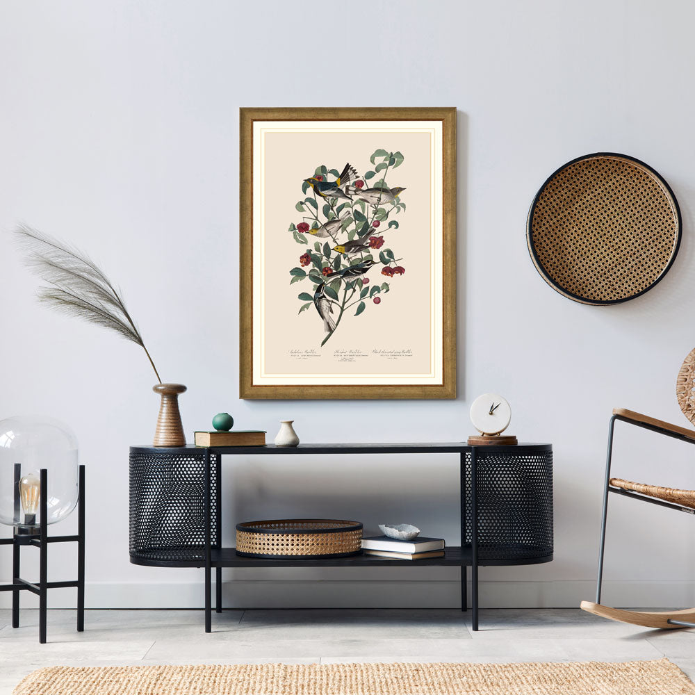 Audubon's Warbler, Hermit Warbler And Black Throated Gray Warbler Birds Print 