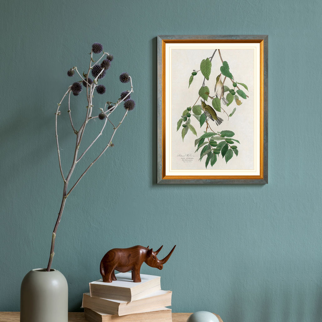 Autumnal Warbler Print 