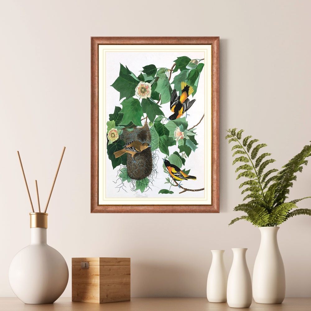 Baltimore Oriole Bird Print 