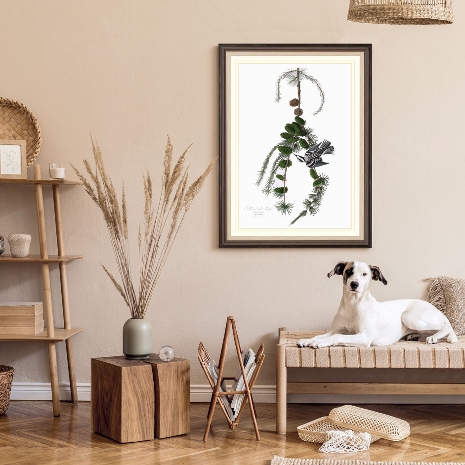 Black And White Creeper Print 