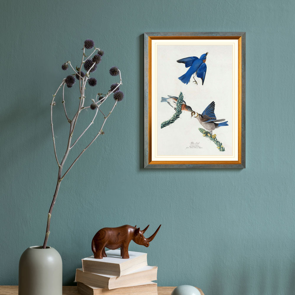Blue Bird Print 