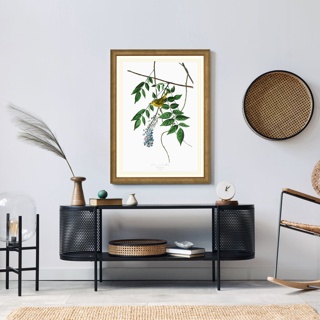 Blue Eyed Yellow Warbler Bird Print 