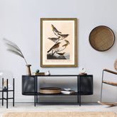 Bullock's Oriole, Baltimore Oriole, Mexican Goldfinch And Varied Thrush Birds Print 