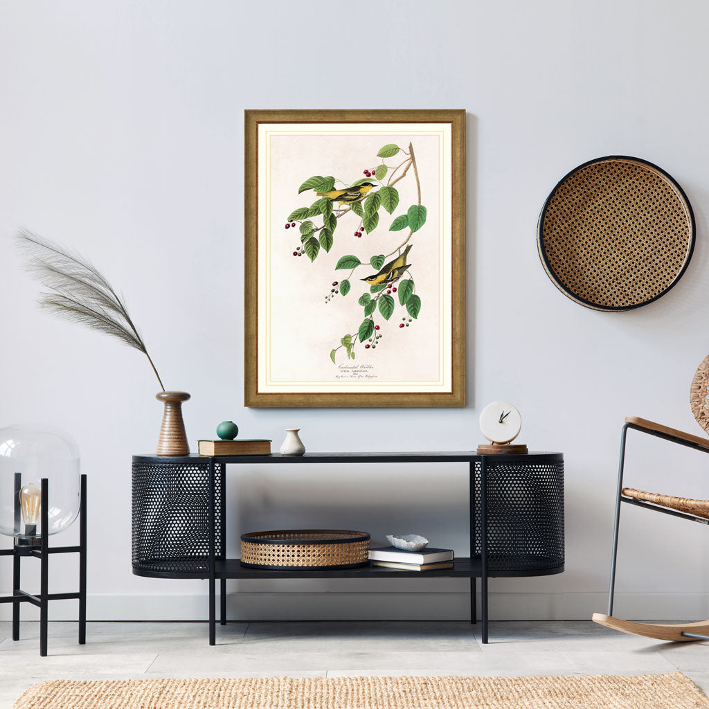 Carbonated Warbler Bird Print 