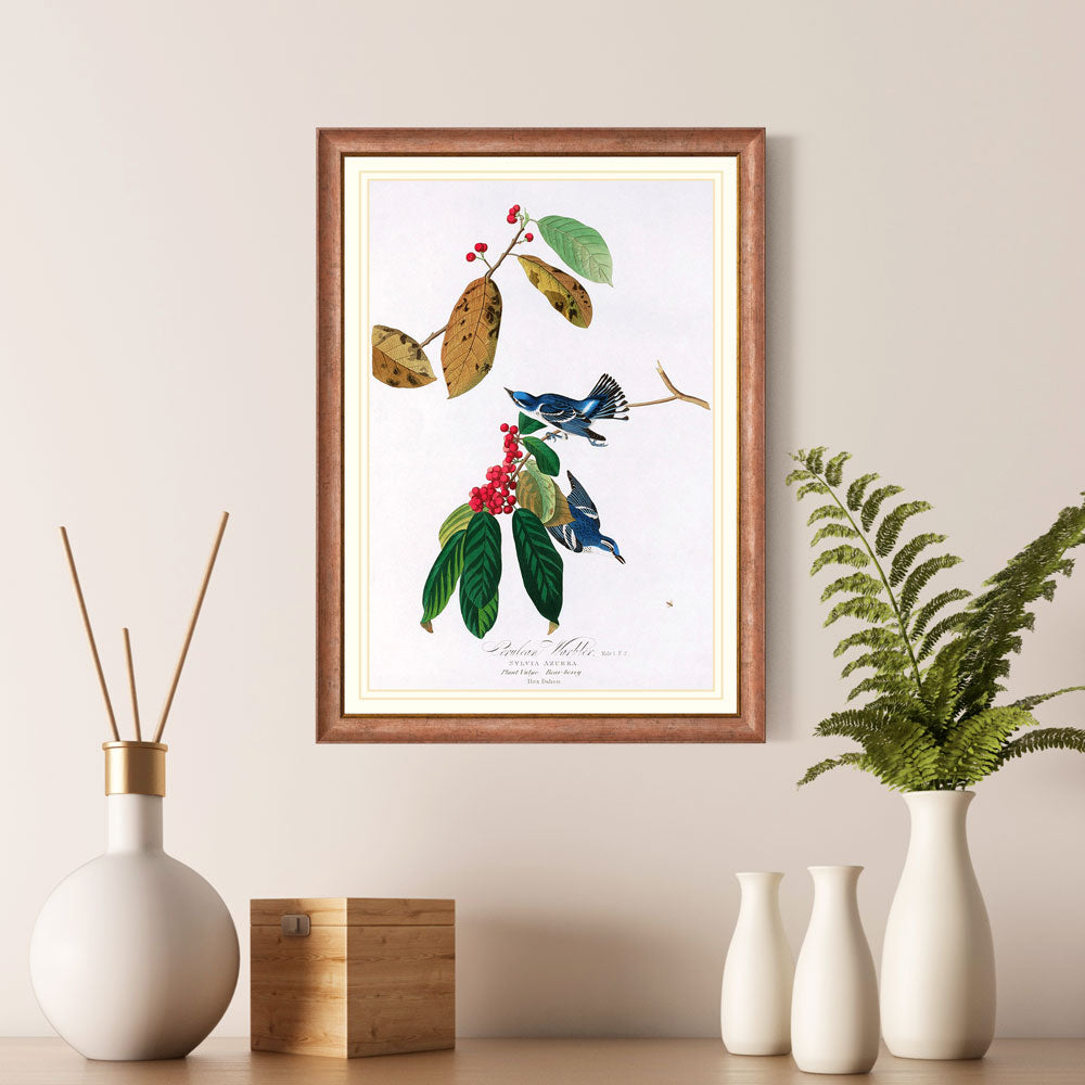 Cerulean Warbler Bird Print 