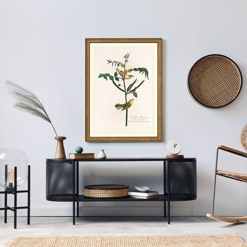 Children's Warbler Bird Print 
