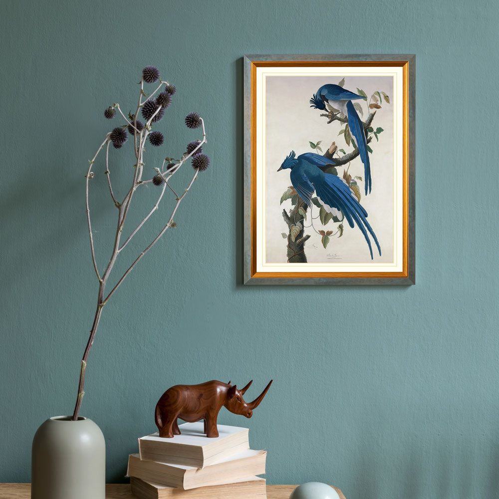 Columbia Jay Bird Print 