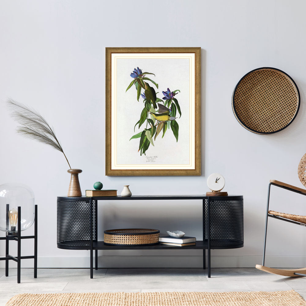 Connecticut Warbler Bird Print 