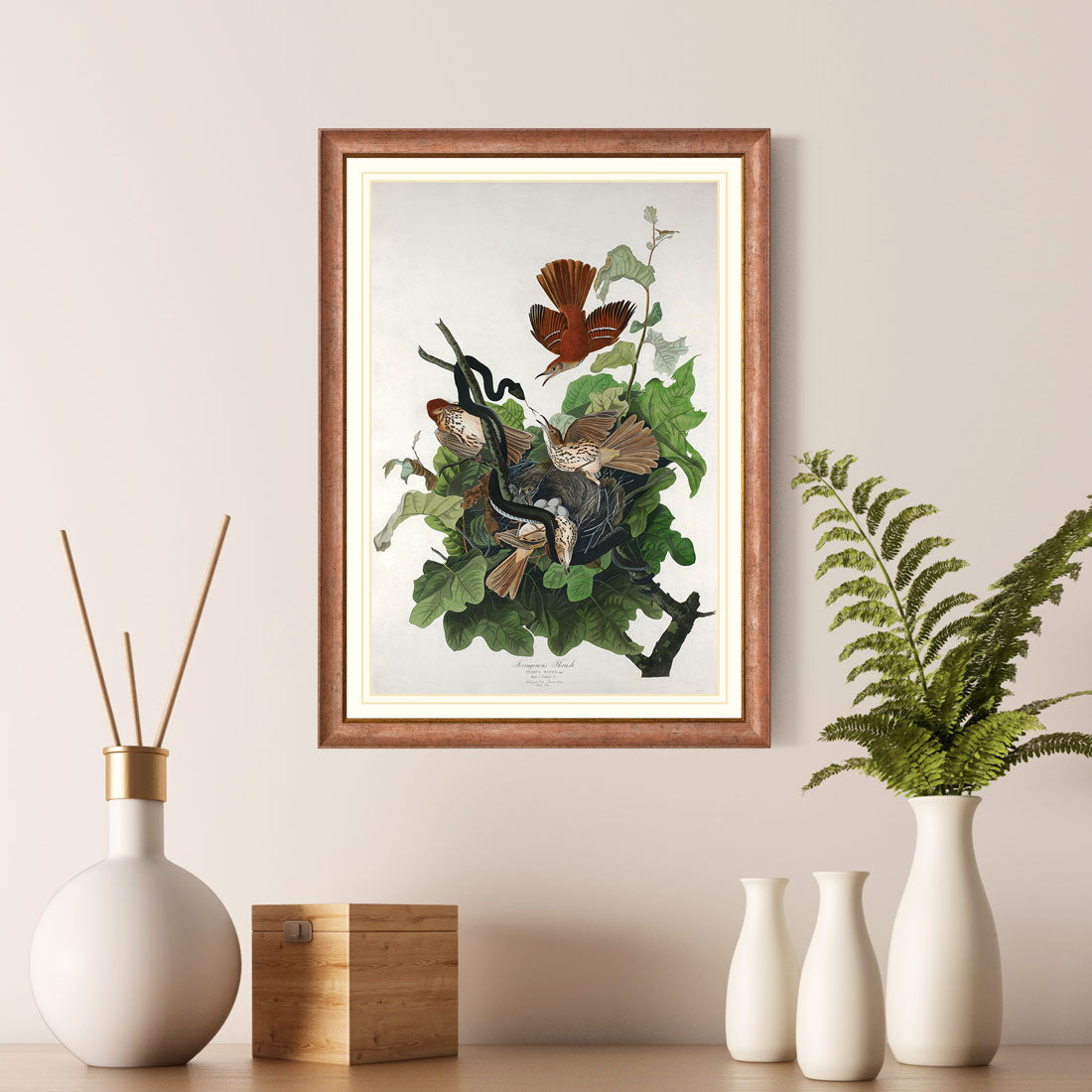Ferruginous Thrush Bird Print 