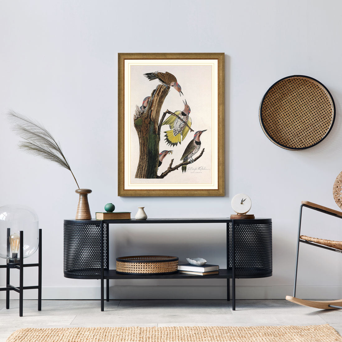 Gold Winged Woodpecker Bird Print 