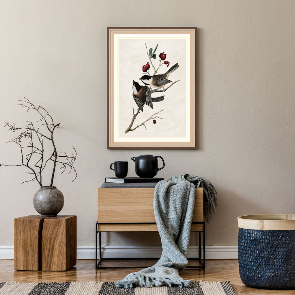 Black-Capped Chickadee Acrylic Print 