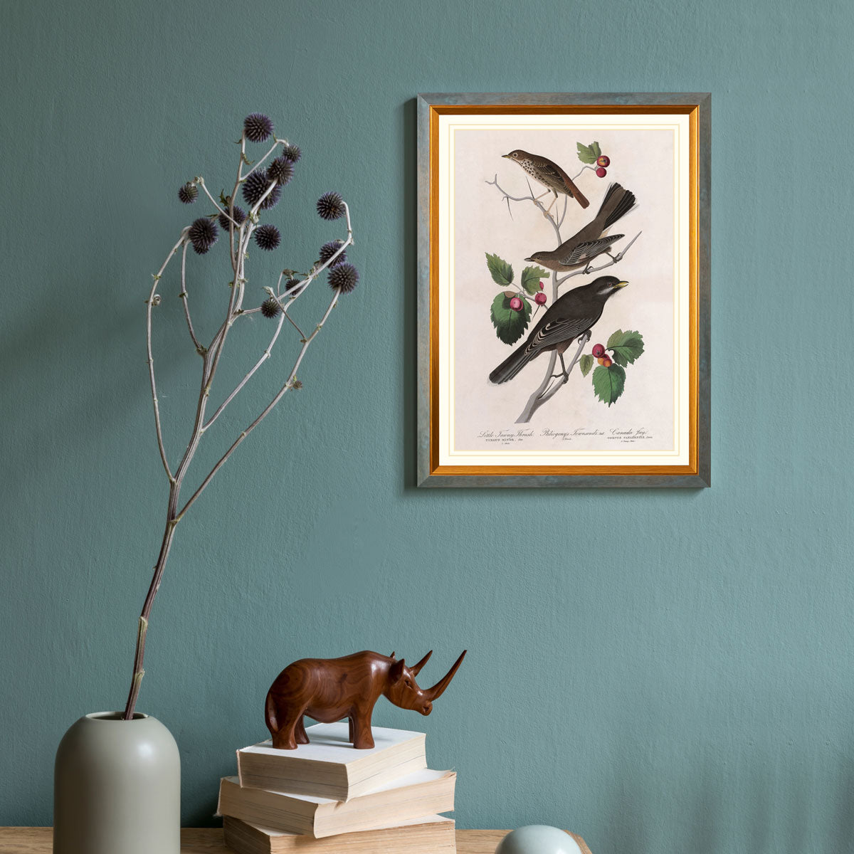Little Tawny Thrush Bird Print 