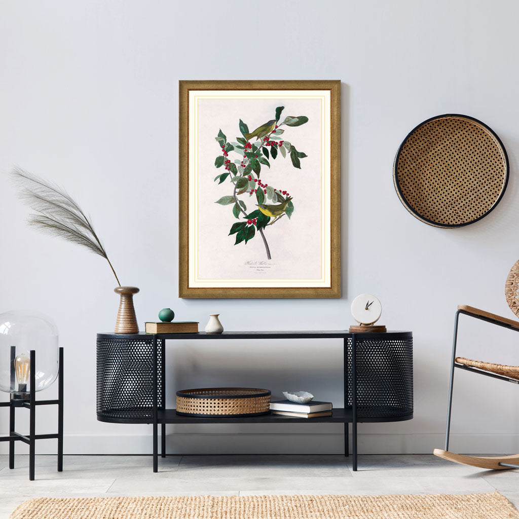 Nashville Warbler Bird Print 