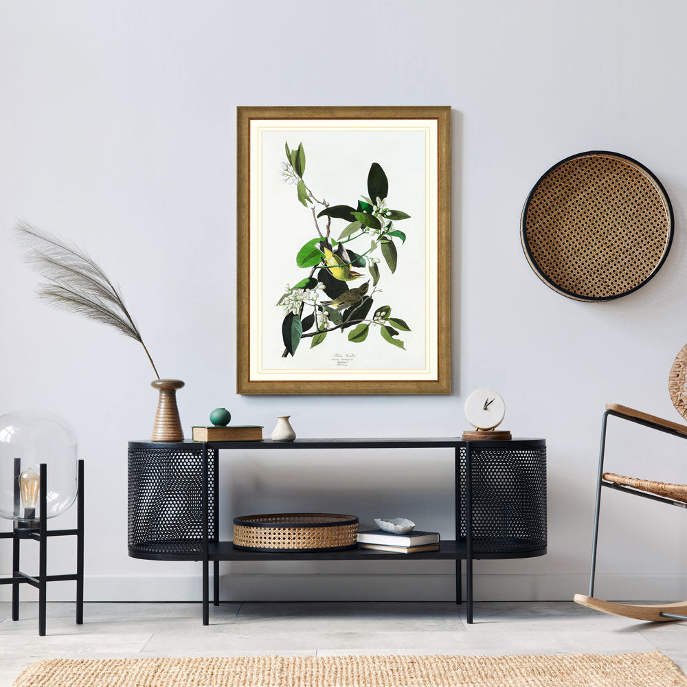 Palm Warbler Bird Print 