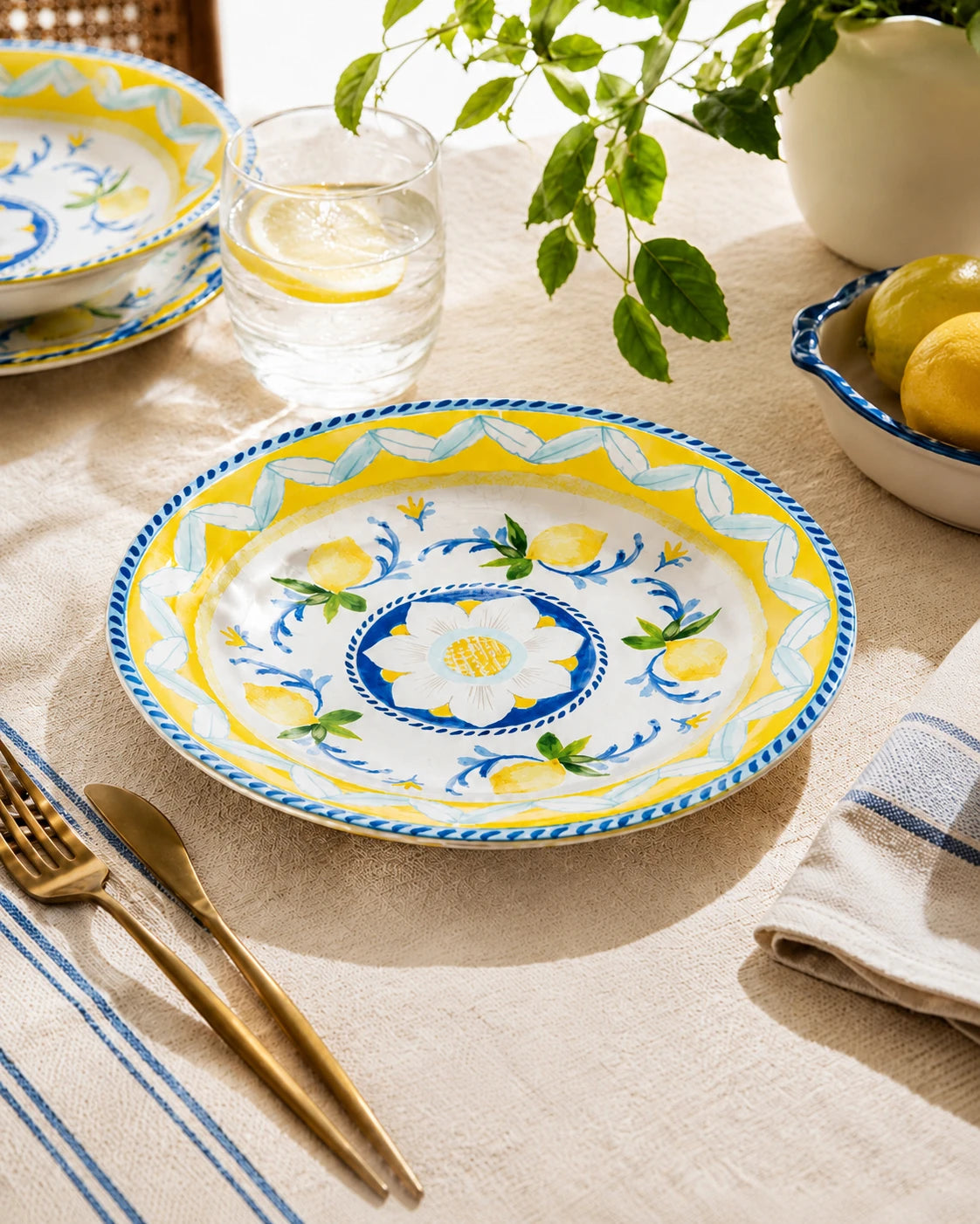 Dinner Plates