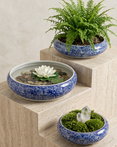 Delicate Lotus Vine Planter -Set Of 3 