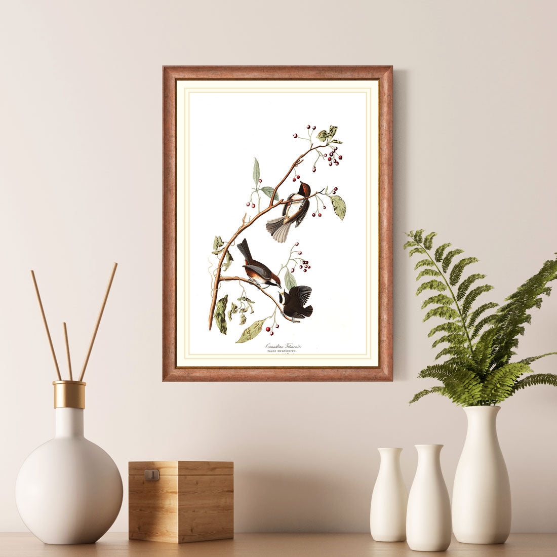 Canadian Titmouse Bird Print 
