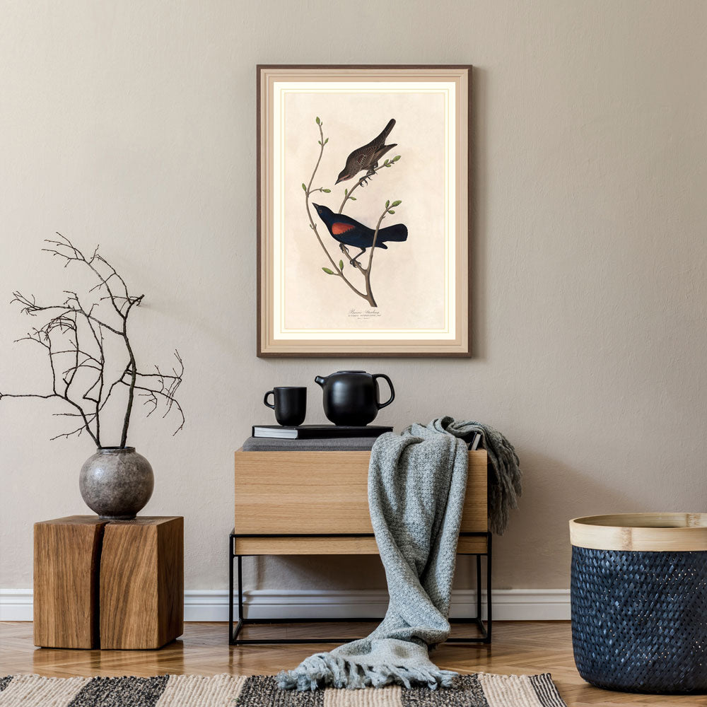 Prairie Starling Bird Print 